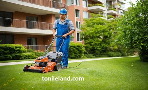 mexican lawnmower|Beyond Baffles and Stereotypes: The Mexican Lawn Mower.